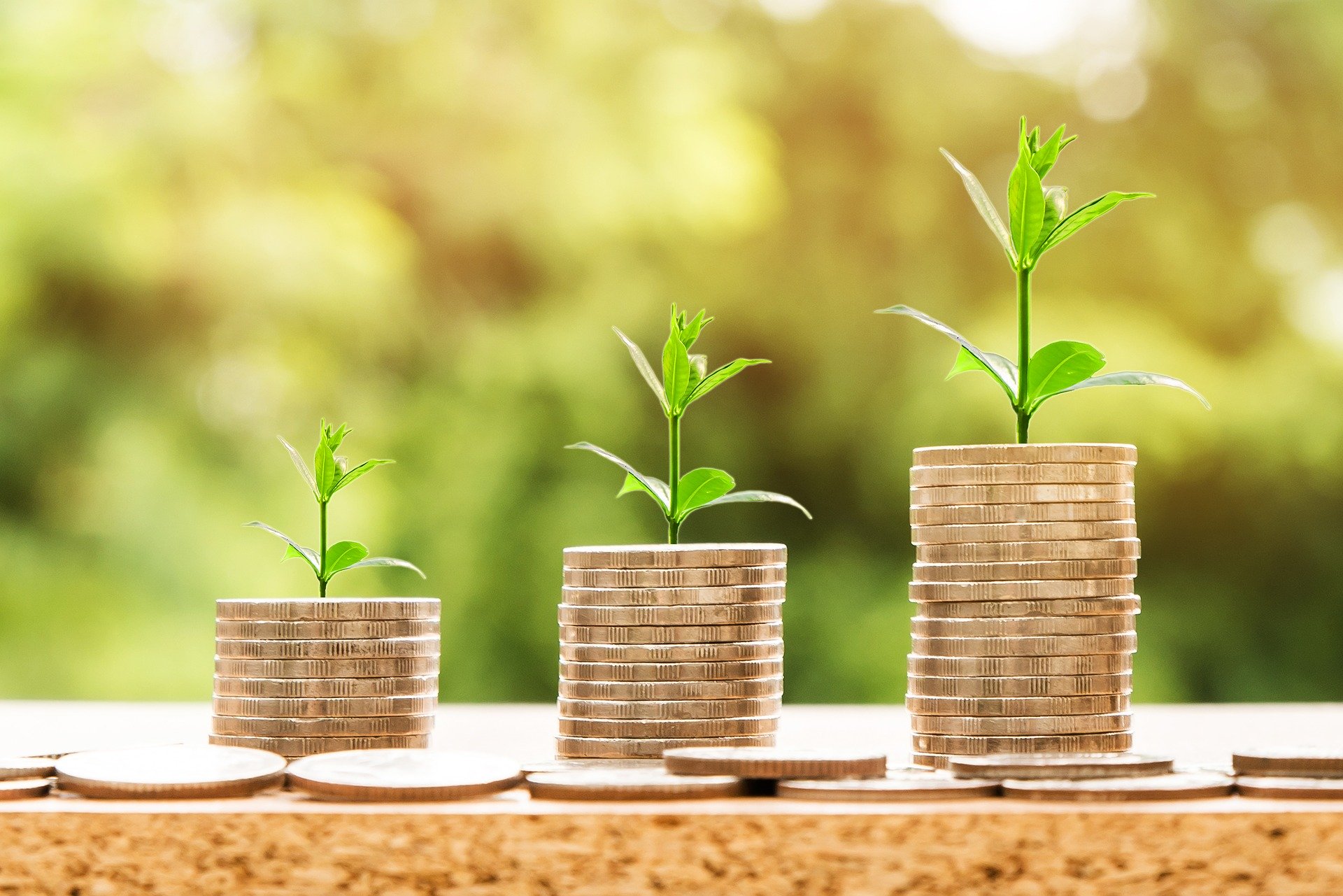 Recover Money From Binary Options Scams With Money-Back.com