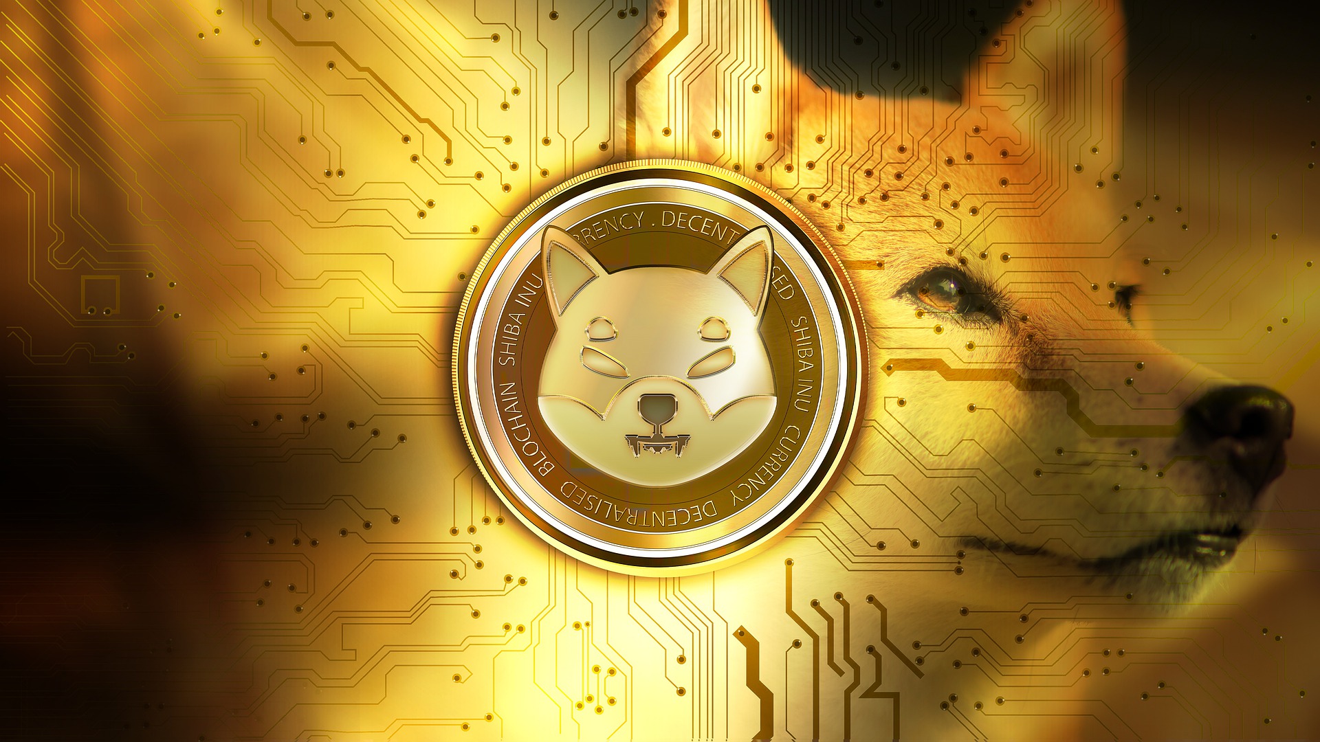 New Data Shows 72% of Shiba Inu Investors are in Profit